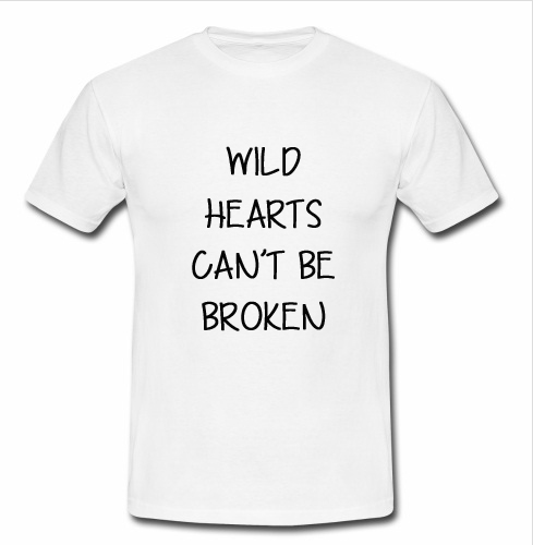 wild hearts cant be broke lyrics